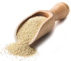 Yeast